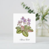 African Violet Curtis Botanical Briefkaart (Staand voorkant)