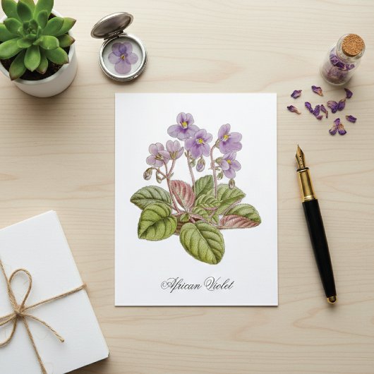 African Violet Curtis Botanical Briefkaart