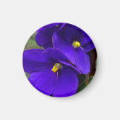 African Violet Magnet (Voorkant)