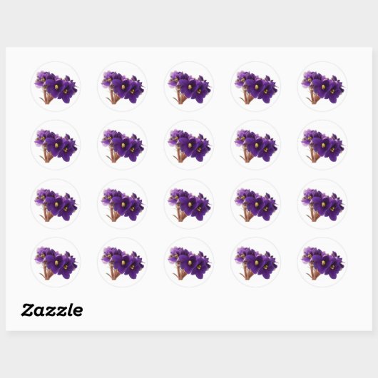 African violet ronde sticker (Vel)