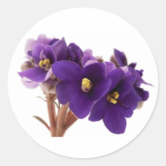 African violet ronde sticker (Voorkant)