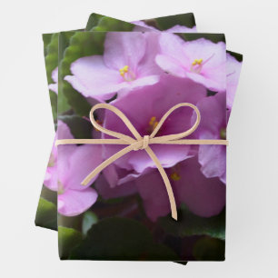 African Violet Saintpaulia - Roze bloemen Inpakpapier Vel