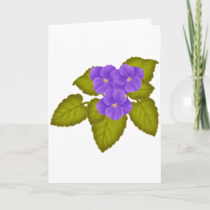 African Violets Paarse Kaart