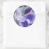 African Violets Sticker (Tas)