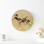African Wild Dog (Lycaon Pictus) Standing Grote Klok (Huis)