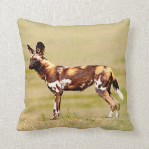 African Wild Dog (Lycaon Pictus) Standing Kussen