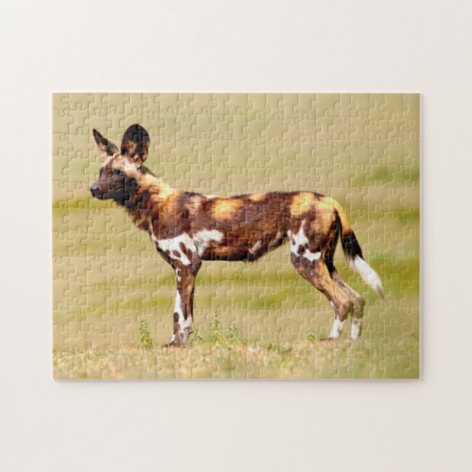 African Wild Dog (Lycaon Pictus) Standing Legpuzzel (Horizontaal)