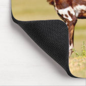 African Wild Dog (Lycaon Pictus) Standing Muismat (Hoek)