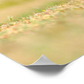 African Wild Dog (Lycaon Pictus) Standing Poster (Hoek)