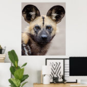 African Wild Dog (Painted Dog) Poster (Thuiskantoor)