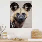 African Wild Dog (Painted Dog) Poster (Keuken)