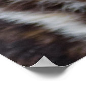 African Wild Dog (Painted Dog) Poster (Hoek)