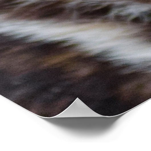 African Wild Dog (Painted Dog) Poster (Hoek)