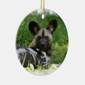 African Wild Dog Photo Ornament (Rechts)