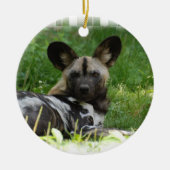 African Wild Dog Photo Ornament (Voorkant)