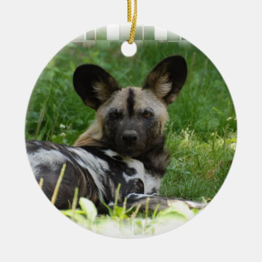 African Wild Dog Photo Ornament (Voorkant)