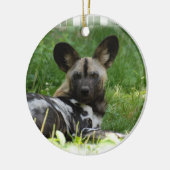 African Wild Dog Photo Ornament (Links)