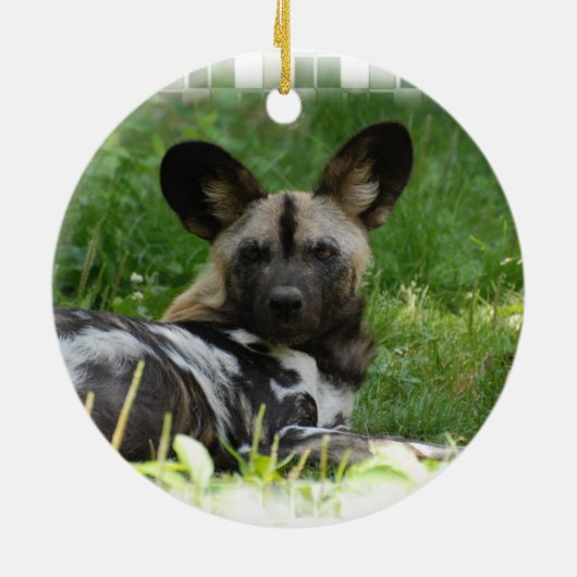 African Wild Dog Photo Ornament (Achterkant)