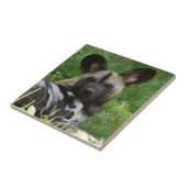 African Wild Dog Tile Tegeltje (Zijkant)