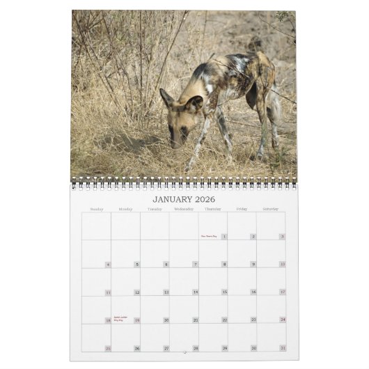 AFRICAN WILD DOGS KALENDER (Jan 2026)