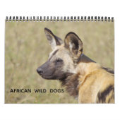 AFRICAN WILD DOGS KALENDER (Hoes)