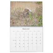 AFRICAN WILDLIFE BABIES-kalender Kalender (Mar 2027)