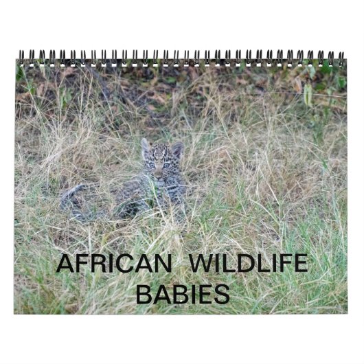 AFRICAN WILDLIFE BABIES-kalender Kalender (Hoes)