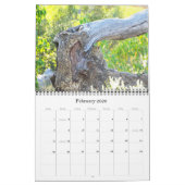 AFRICAN WILDLIFE BABIES-kalender Kalender (Feb 2026)