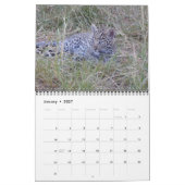 AFRICAN WILDLIFE CALENDAR KALENDER (Jan 2027)