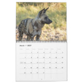 AFRICAN WILDLIFE CALENDAR KALENDER (Mar 2027)