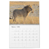AFRICAN WILDLIFE CALENDAR KALENDER (Feb 2026)