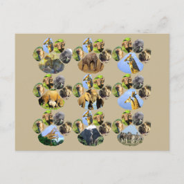 African Wildlife Lion Pawprint 9 Collage Briefkaar Briefkaart