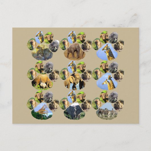 African Wildlife Lion Pawprint 9 Collage Briefkaar Briefkaart (Voorkant)