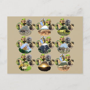 African Wildlife Lion Pawprint 9 Collage Briefkaar Briefkaart