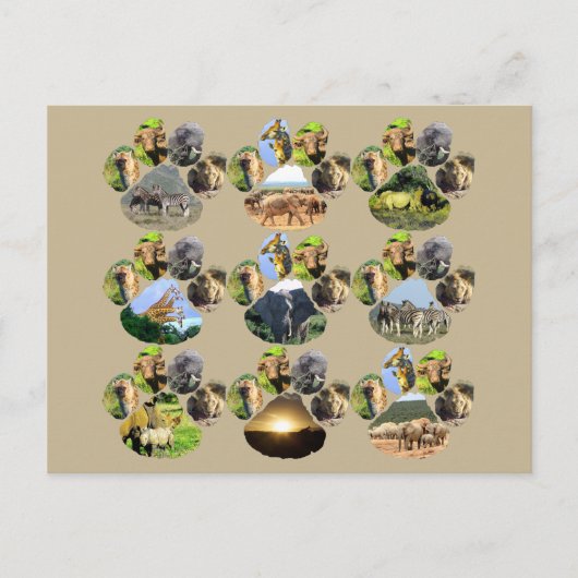 African Wildlife Lion Pawprint 9 Collage Briefkaar Briefkaart (Voorkant)