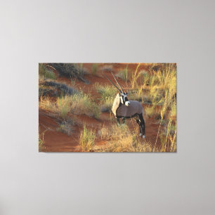 African Wildlife Oryx Antelope Sand Dune Savannah Canvas Afdruk