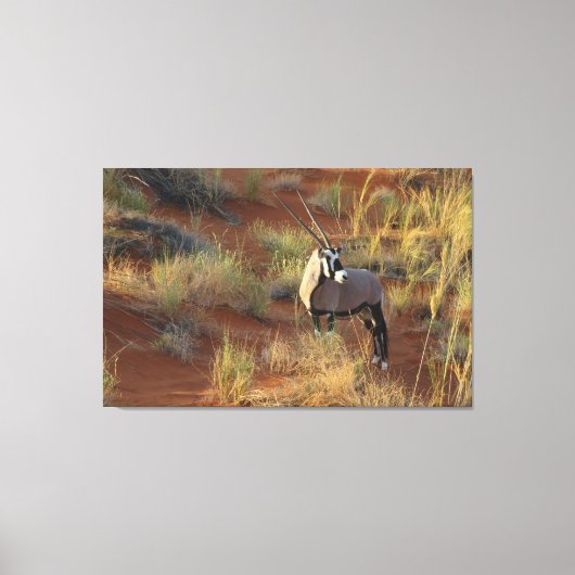 African Wildlife Oryx Antelope Sand Dune Savannah Canvas Afdruk (Voorkant)