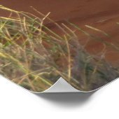 African Wildlife Oryx Antelope Sand Dune Savannah Poster (Hoek)