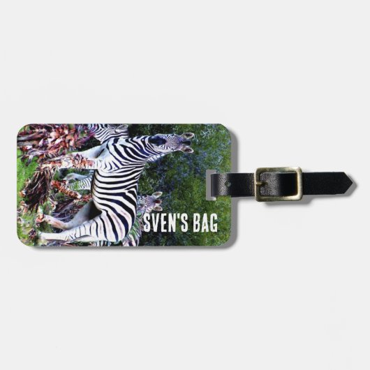 African Zebra Aloe Bagagelabel (Voorkant horizontaal)