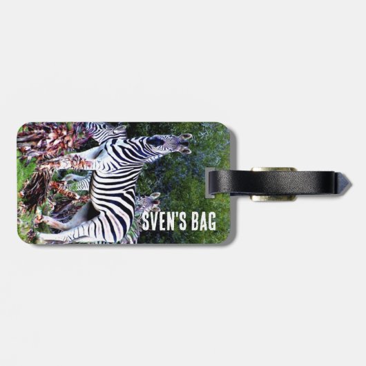 African Zebra Aloe Bagagelabel (Achterkant horizontaal)