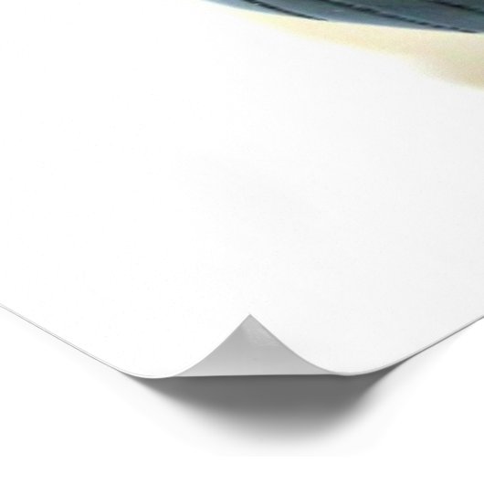 african zebra mask poster (Hoek)