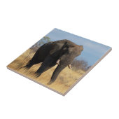 Africia Elephant Tegeltje (Zijkant)