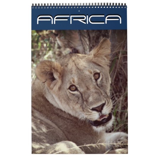 afrika 15 maanden kalender (Hoes)
