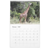 Afrika 2011 Kalender van 15 maanden (Feb 2027)