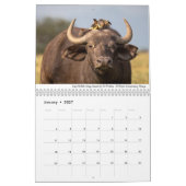 Afrika 2020 Wildlife Kalender (Jan 2027)