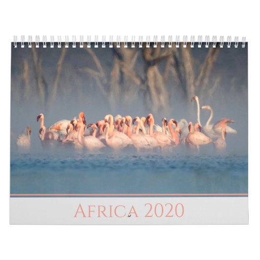 Afrika 2020 Wildlife Kalender (Hoes)