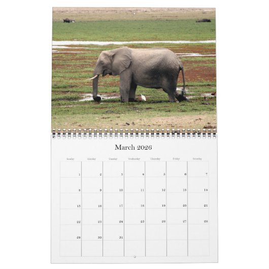 Afrika 2025 kalender (Mar 2026)