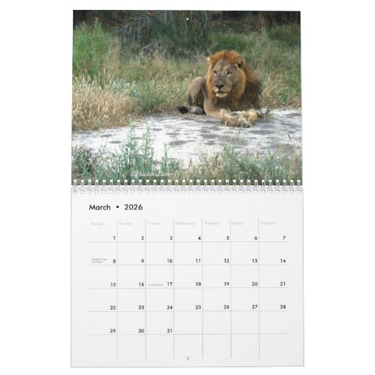 Afrika - 2026 Kalender (Mar 2026)