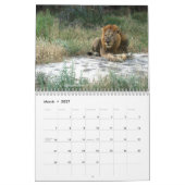 Afrika - 2026 Kalender (Mar 2027)