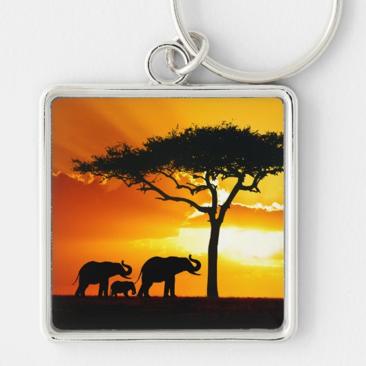 Afrika 2-Sleutelhanger Sleutelhanger (Voorkant)